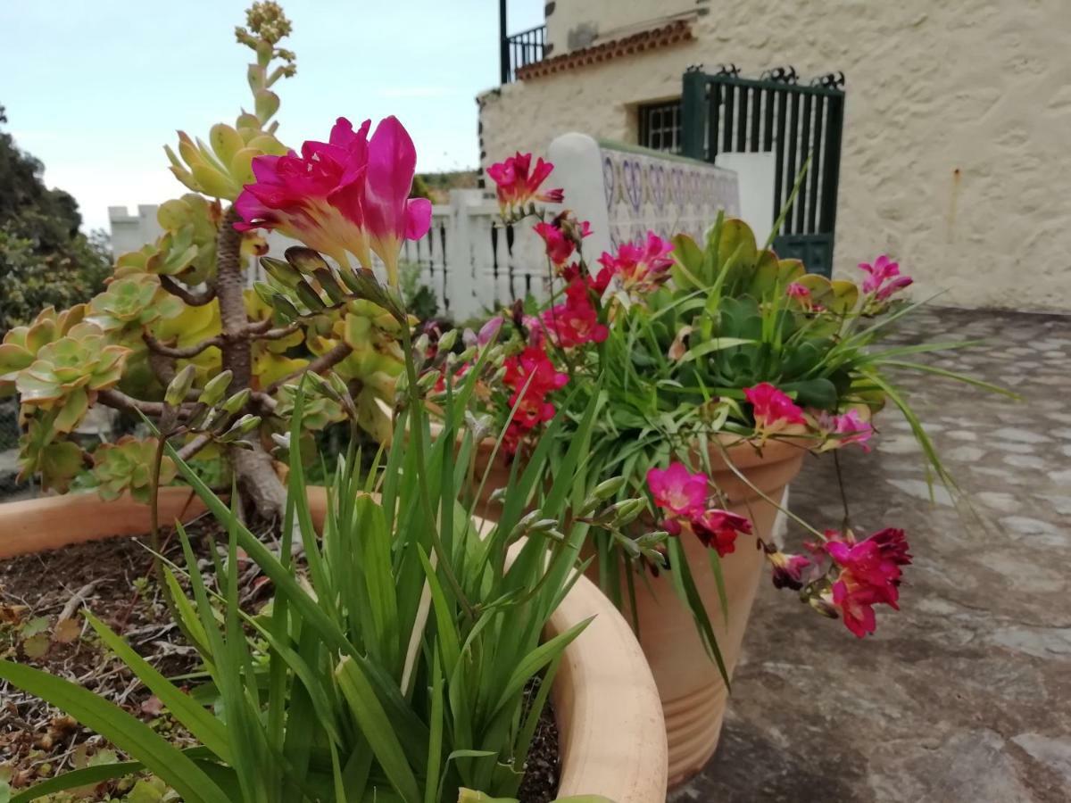 Grosse Finca 19Jh, Pool, Terrasse, Nahe Santa Cruz Санта Круз де Ла Палма Екстериор снимка
