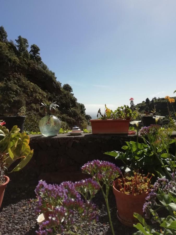 Grosse Finca 19Jh, Pool, Terrasse, Nahe Santa Cruz Санта Круз де Ла Палма Екстериор снимка
